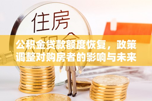 线上公积金贷款额度恢复，政策调整对购房者的影响与未来展望
