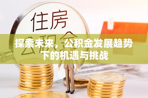 线上探索未来，公积金发展趋势下的机遇与挑战
