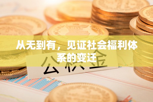 线上从无到有，见证社会福利体系的变迁
