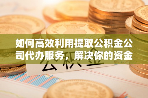 线上如何高效利用提取公积金公司代办服务，解决你的资金难题